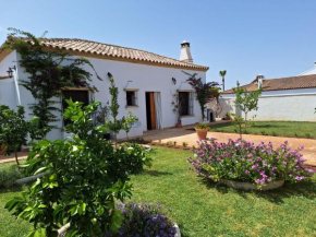 Casa J&V